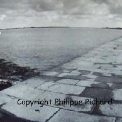 Saint-Vaast la Hougue (50)